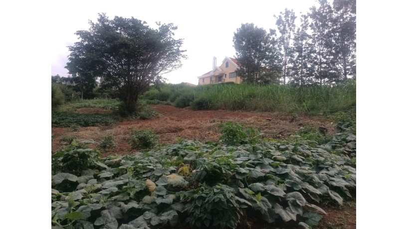 prime-12-acre-plot-for-sale-in-mushroom-estate-kiambu-road-big-2