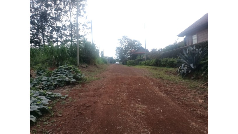 prime-12-acre-plot-for-sale-in-mushroom-estate-kiambu-road-big-4