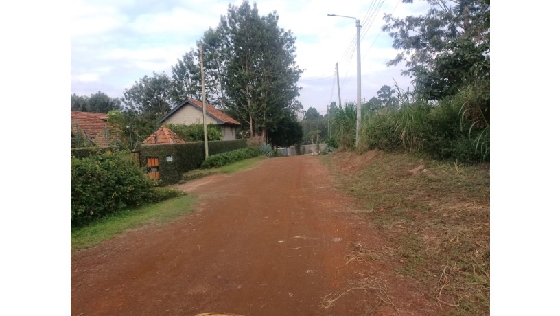 prime-12-acre-plot-for-sale-in-mushroom-estate-kiambu-road-big-3